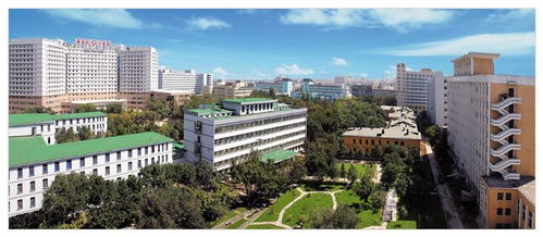 新疆医科大学第一附属医院(新疆医科大学六个附属医院各是哪个医院)
