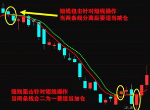 炒股，每天高抛低吸划算吗？