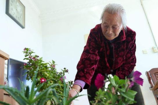 70岁老人养花