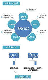 股票期权具体是怎么操作的