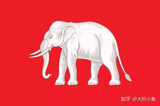 为什么说大象是泰国的国家象征,它有着怎样的存在意义 