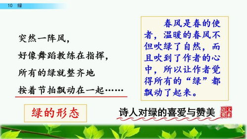 几许春光的意思解释词语_要10个关于春节春天的成语？