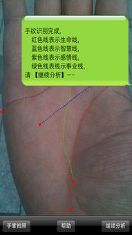 手相大师3.0.0下载预约 手相大师安卓版 IOS版下载预约 游戏吧手游网 