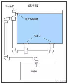 常见鱼缸过滤方式原理及使用方法 史上最全