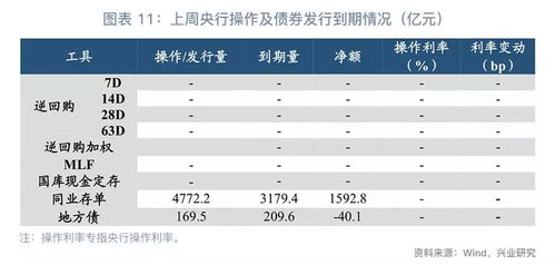 货币市场主要包括哪四个市场