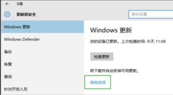 win10设置里找不到更新