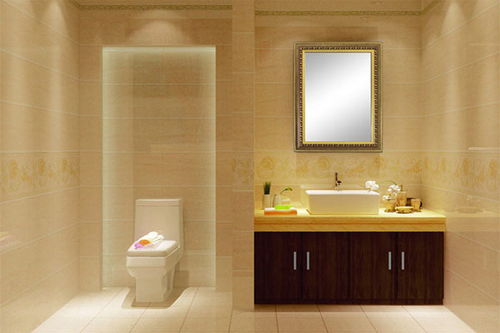 浴室镜对着卫生间门好不好 化解卫生间开门见镜子 