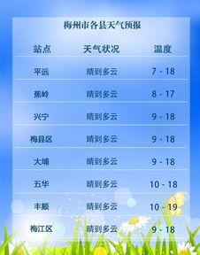 2019年12月15日出生什么命