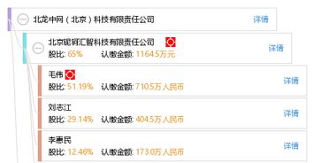 北龙中网（北京）科技有限责任公司怎么样？