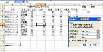 电子表格中的高级筛选怎么做