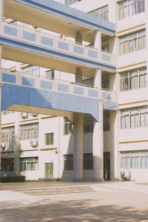 河南省建筑工程学校,河南建筑类大专有哪些学校(图2)