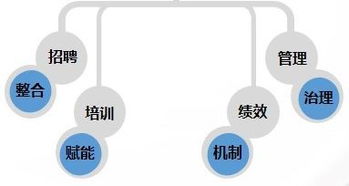 金融行业转型该怎么做