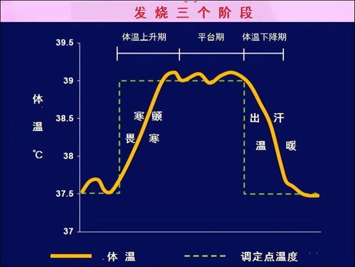 新冠羊了发烧还怕冷,盖被子 捂汗 能退烧吗