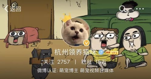 紧急通报 在杭州,想要领养猫咪的千万要避开他 