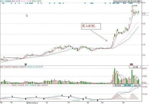 中原高速分红后股价为何变了