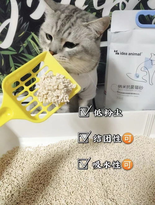 豆腐猫砂的原材料是由什么组成的