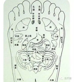 养生从脚开始 脚底穴位图按摩