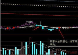 我手机这两天老接关于黄金，股票一类的电话，还 每天一个股票信息，怎么回事。