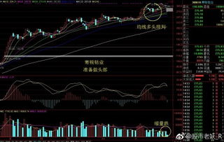 市面上有很多那种可以提供带操作的股票机构，是真的还是假的？