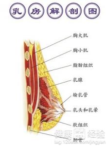 严重的乳腺囊肿的症状