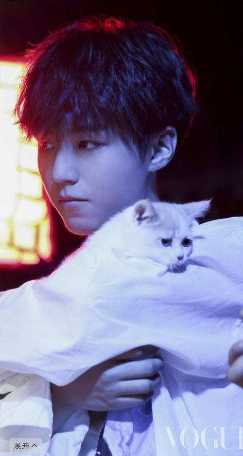 王俊凯抱着小猫站在娃娃机前,小猫的表情很享受,小凯就不一样了