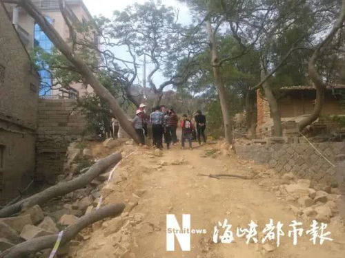 悲剧 砍树纠纷致1死3伤 福建这一家人被捕