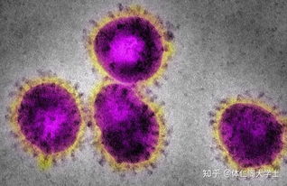 钟南山院士称新型冠状病毒传染性比 SARS 弱,两者对比如何 从非典我们学到了什么 