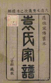 袁氏家谱 山东淄川 彦中公支 三本 16开 350页 嘉庆八年 1858年 续修 原件模糊不清晰 电 D