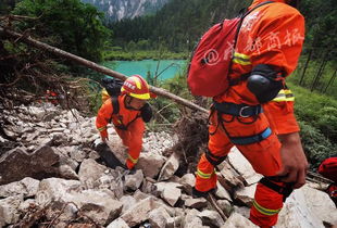 地动山摇打一个正确生肖