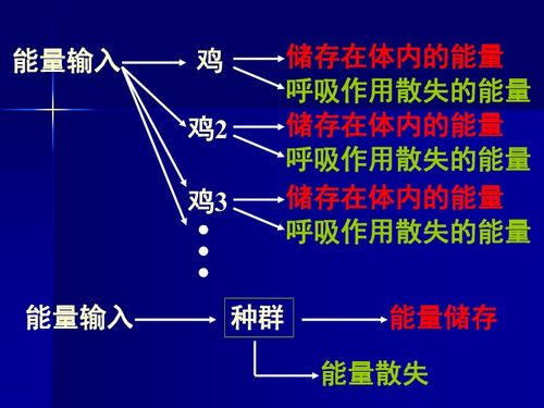 生态系统能量流动分析