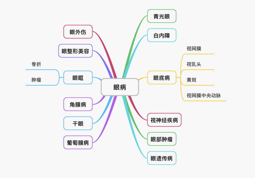 眼科学专业介绍和考研报考指南