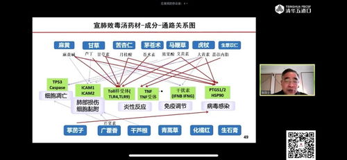 中医热成像检查的原理