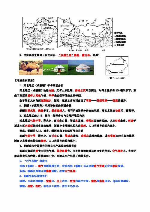 湘教版地理八年级下册 中国四大区域地理 复习策略 3 西北地区 