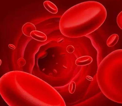 全国哪种血型的人最多 和你一样血型有多少人 血型与性格有关吗