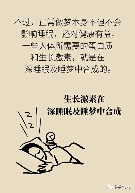 做梦的真相