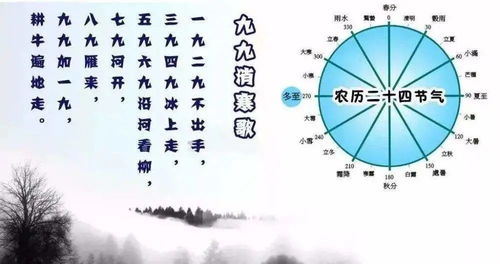 冬至九九什么意思(冬至九九节气)