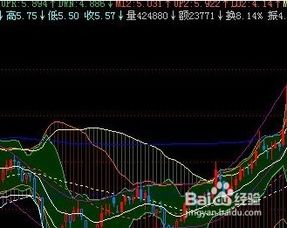 选择股票的公式设计