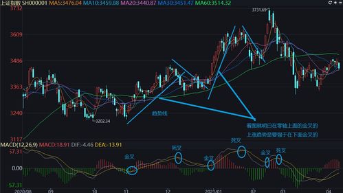 股票指标ox代表何意