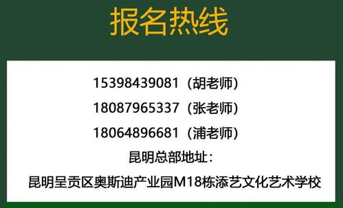 2021年添艺文化艺术学校美术类 专升本 培训招生简章