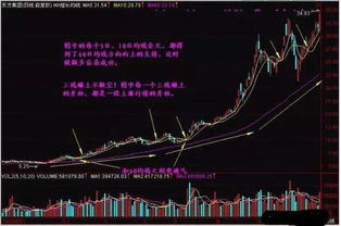 股市高手一年可以赚多少倍 知乎