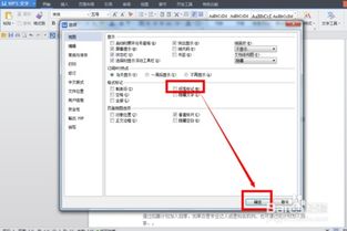 WPS文档怎样去掉段落标记