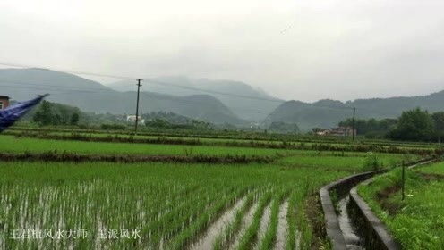 杨公风水王君植的个人频道 