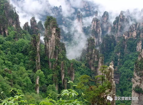 张家界风景区图片（张家界风景区图片大全真实）