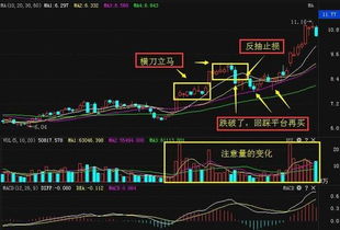 比如我花10元买进一股股票上涨了10%然后我把股票卖出我能得到多少现金？