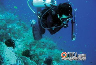 泰国袖珍岛 潜水天堂
