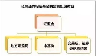 对基金投资行为进行监控有哪些？