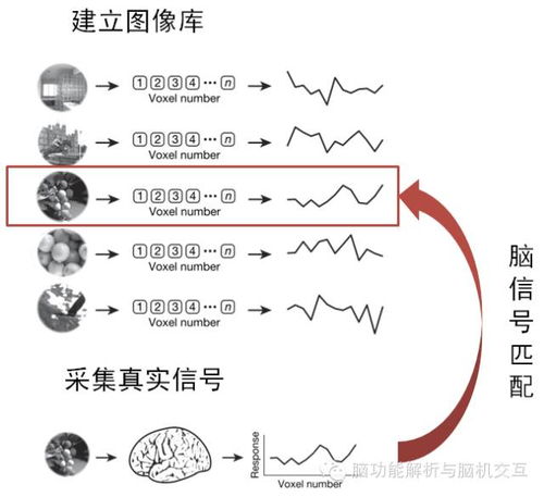 读心术 猜猜你在看什么 