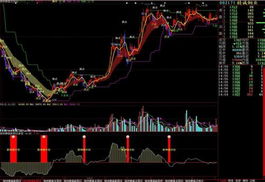 操盘绝招选股炒股软件炒股指标炒股公式股票软件股票指标股票公式 在...