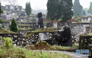 正是广西最大的佛教圣地金莲湖的旖旎风光,莲音寺即落成于此风水宝地.