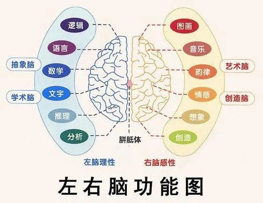 左撇子冷知识,强行纠正会让孩子口吃吗